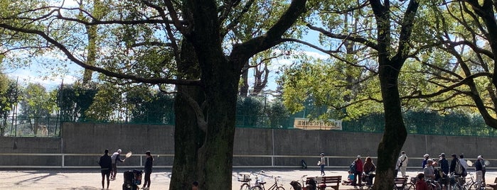 東京都内のテニスコート Tennis Courts In Tokyo