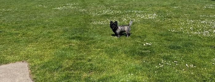 George R. Moscone Park Dog Run is one of The 15 Best Dog Parks in San Francisco.