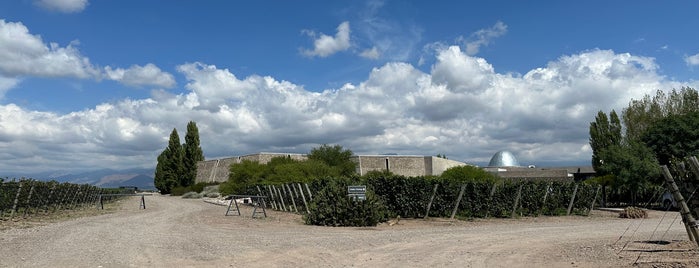 Bodega Piedra Infinita is one of Mendoza.