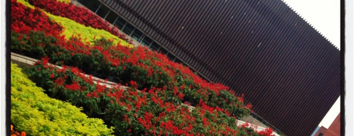 Café de los Andes is one of Café Medellín.