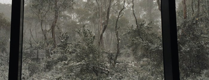 Wilderness Gallery is one of Tasmania.
