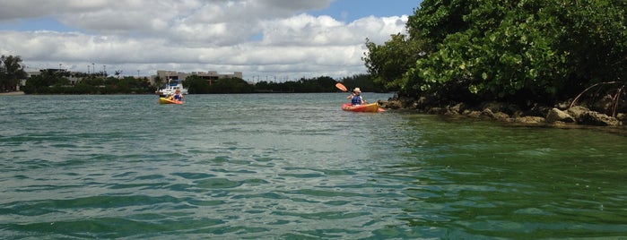 Oleta River State Park is one of Historian 2.