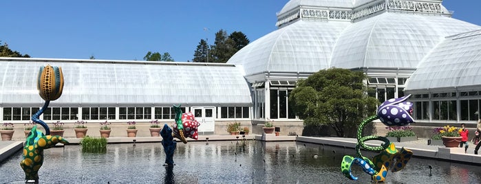 Enid A. Haupt Conservatory is one of ZEN’s City Sights 👀.