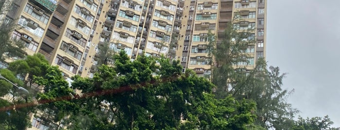 Hin Keng Estate is one of 公共屋邨.