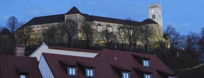 Château de Ljubljana is one of Ljubljana.