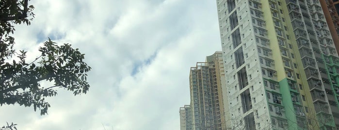 Mei Tin Estate is one of 公共屋邨.