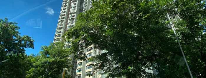 Tin King Estate 田景邨 is one of 公共屋邨.