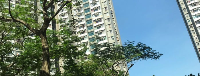 Tsui Wan Estate is one of 公共屋邨.
