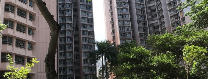 Wah Sum Estate is one of 公共屋邨.