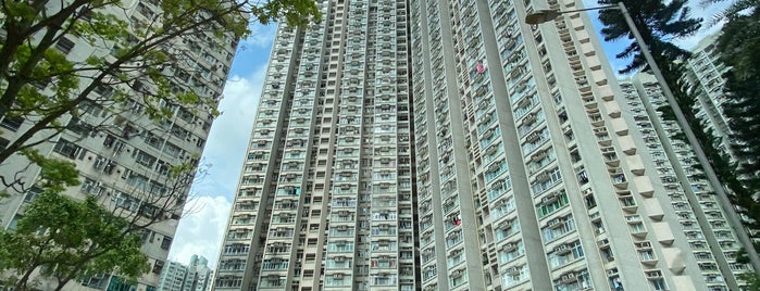 Fu Heng Estate 富亨邨 is one of 公共屋邨.
