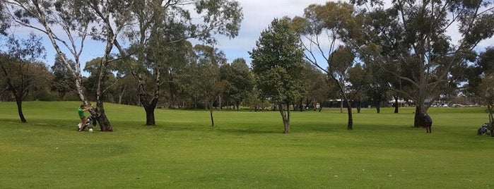 Regency Park Golf Course is one of LOCAL PLACES.