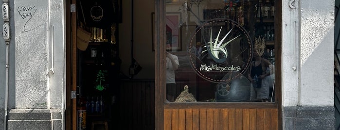 Mis Mezcales is one of Mexico City.