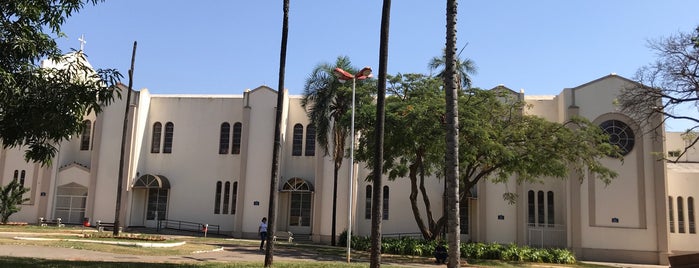 Praça da Matriz de Campinas is one of Lugares que pretendo visitar.