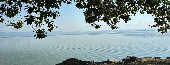 Castiglione del Lago is one of Tuscany.