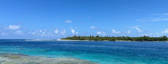 French Polynesia | Polynésie Française is one of 4sq上で未訪問の国や地域.