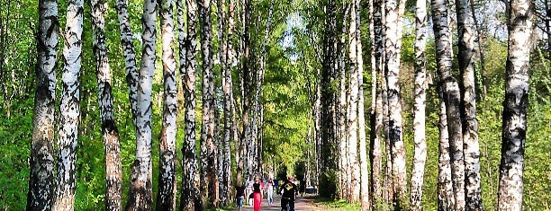 Бирюлевский дендропарк is one of Posti che sono piaciuti a Тарас.
