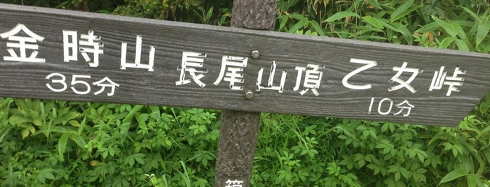 長尾山 is one of Aloha !'ın Beğendiği Mekanlar.