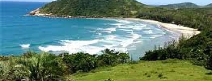 Praia do Rosa is one of สถานที่ที่ MZ✔︎♡︎ ถูกใจ.