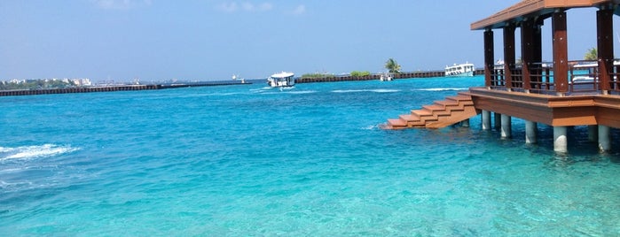 Bandos Maldives is one of Lieux qui ont plu à Marcos.