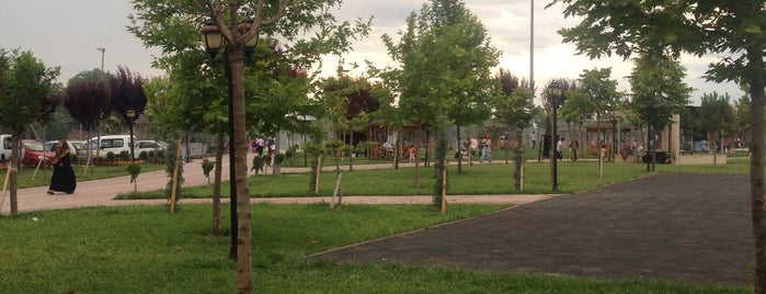 Karaaslan Hadimi Parkı is one of Locais curtidos por Hicran.