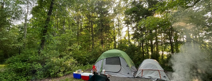Camping in the US
