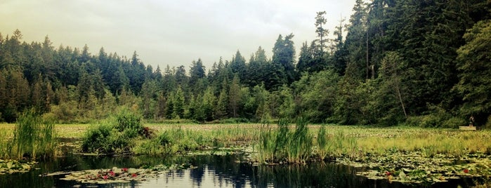 Beaver Lake is one of Vancouver: favorite art places & great outdoors!.