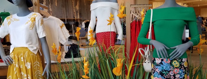 Anthropologie is one of The 11 Best Places for Discounts in Richmond.