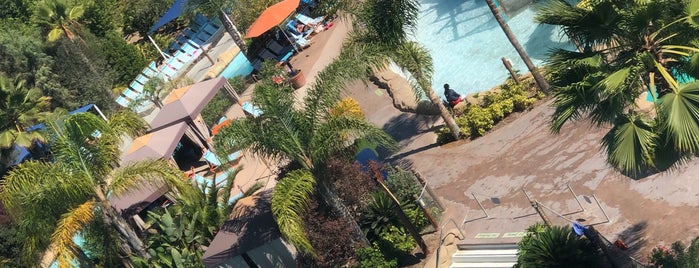 Aquatica San Diego, SeaWorld's Water Park is one of Nichole's Saved Places.