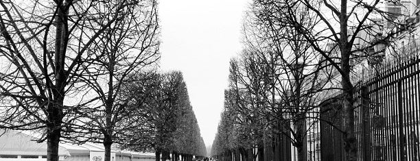 Jardin des Tuileries is one of 🌠.