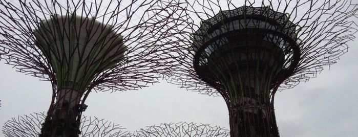 Gardens by the Bay is one of The Ultimate Chillout & Dining Experience Vol. I.