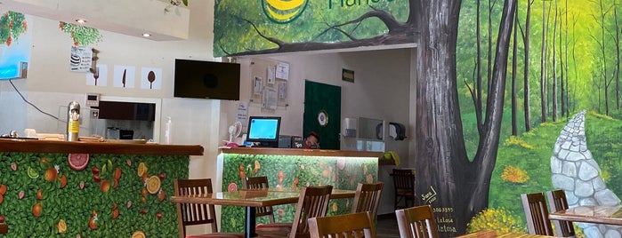 Vegan Planet is one of Cancún.