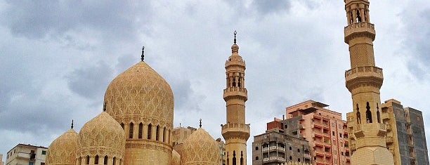 Al Qaed Ibrahim Mosque is one of Alex.
