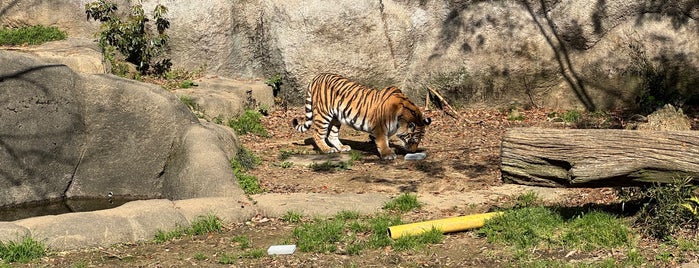 浜松市動物園 is one of 静岡.