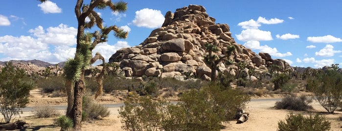 Joshua Tree National Park is one of Joshua Tree and Palm Springs.