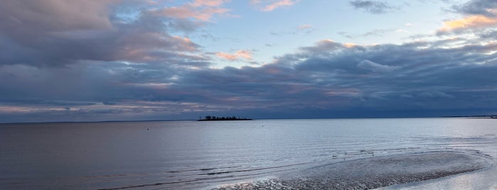 Fort Trumbull Beach is one of Wayne : понравившиеся места.