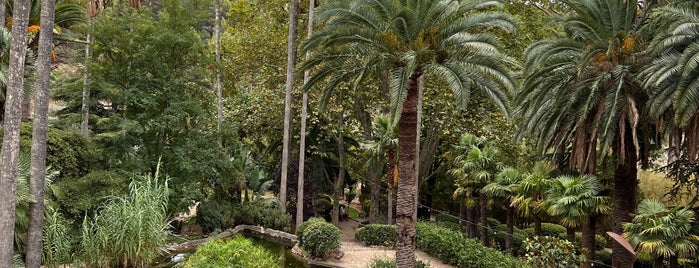 Jardins d'Alfàbia is one of Eurotrip.