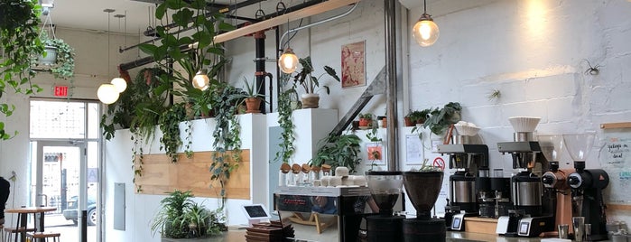 Sey Coffee is one of The 15 Best Trendy Places in Brooklyn.