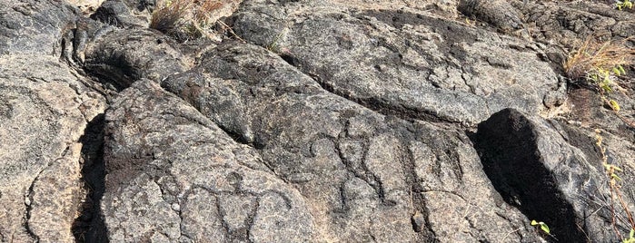 Pu'u Loa Petroglyph Trail is one of Hawai‘i.