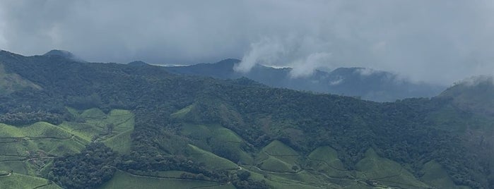 Eravikulam National Park is one of Kerala trip.