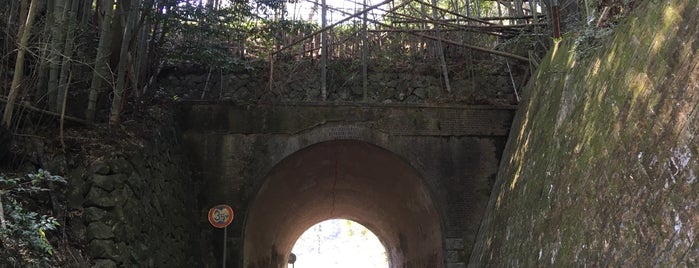 千賀居トンネル is one of 土木学会選奨土木遺産 西日本・台湾.