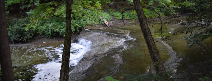 Cleveland Metroparks Euclid Creek Reservation is one of Four Legged Cleveland.