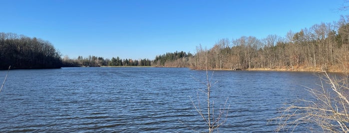 Hinkley Reservation is one of dog friendly hikes.