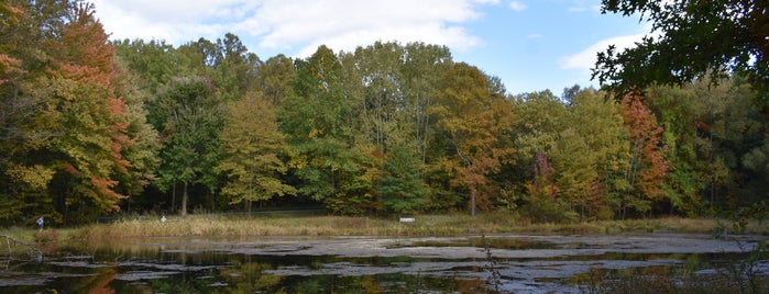 Munroe Falls Metro Park is one of places to go.