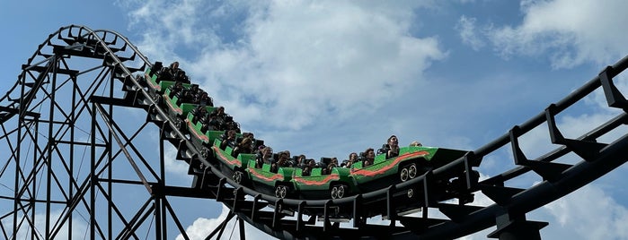 Viper is one of Darien Lake Theme Park.