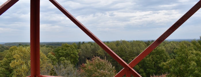 Mohican Fire Tower is one of Ohio: What to See & Do.