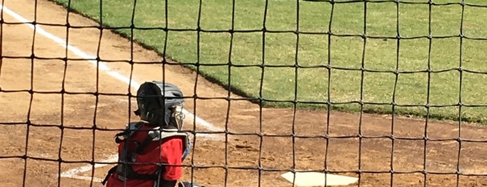 Academia de Béisbol "Alfredo Harp Helú" is one of Gimnasios y deporte.