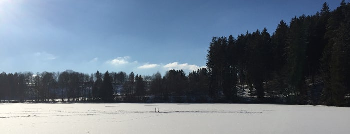 Schlüchtsee is one of Ferienheim Tannenhof in Rothaus.