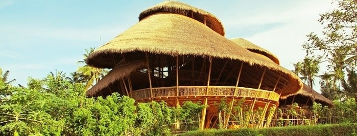 Green School is one of Bali.