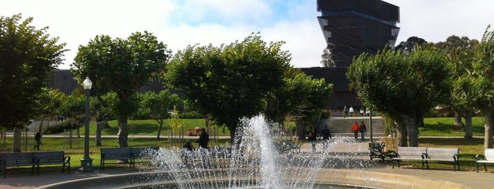 de Young Museum is one of SF to do.