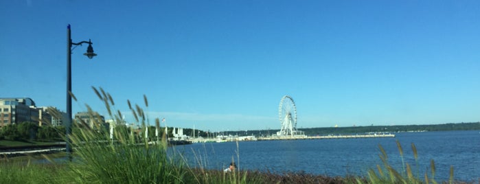National Harbor Boardwalk is one of places to ride to.